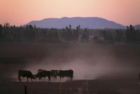 Meteorologové ve vážném varování zmínili oceány. Klima se zhoršuje stále rychleji