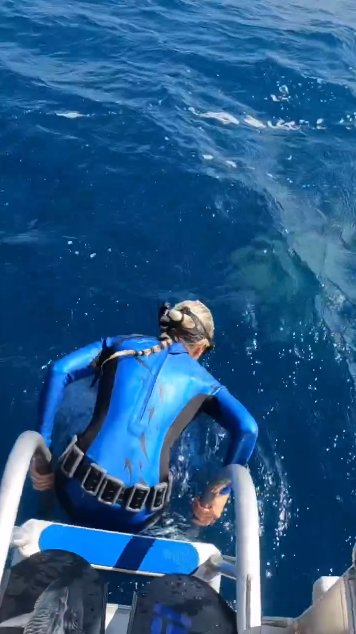 Bioložka zažila nevšední setkání se žralokem.