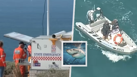 Policie v Jižní Austrálii hledá tělo surfaře, kterého zřejmě zabil žralok.