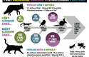 Počet každoročně usmrcených zvířat žijících v Austrálii