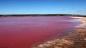 Laguna Hutt: Dalších tři sta kilometrů od národního parku Nambung je skutečně nemožné si nevšimnout křiklavě růžové laguny Hutt. Takovýchto růžových mořských jezer najdeme v Austrálii kupodivu hned několik a laguna Hutt je jedním z nejlepších příkladů tohoto fenoménu. Charakteristická růžová barva vody je důsledkem působení řasy Dunaliella salina, která produkuje vysoké množství zabarvujícího betakarotenu. Betakaroten je využíván i jako potravinářské barvivo – právě na laguně Hutt funguje největší světová farma výše zmíněné řasy.