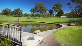Kings Park: Zelené srdce Perthu