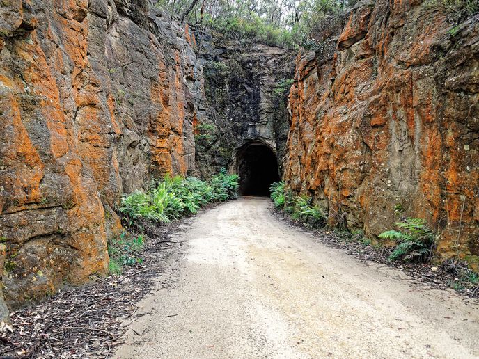 Tunel světélkujících červů (Austrálie)