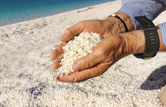 Unikátní Mušličková pláž v chráněné oblasti Shark Bay Marine Park Unikátní Mušličková pláž v chráněné oblasti Shark Bay Marine Park