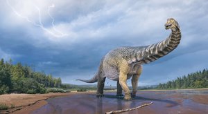 Jak kráčeli dinosauří titáni: Rekonstrukce chůze největších dinosaurů