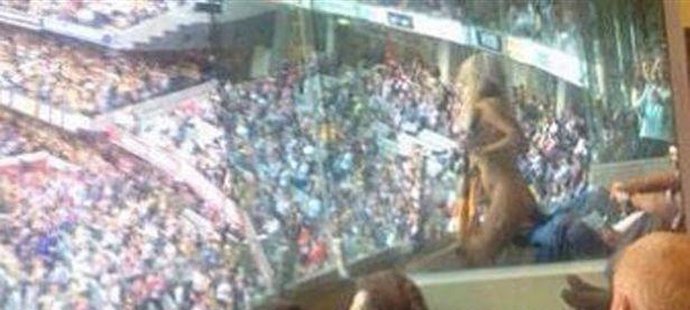 Svlečená modelka Heather McCartney na sebe strhla pozornost zaplněného stadionu v Melbourne