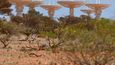 Australský radioteleskop (ASKAP)