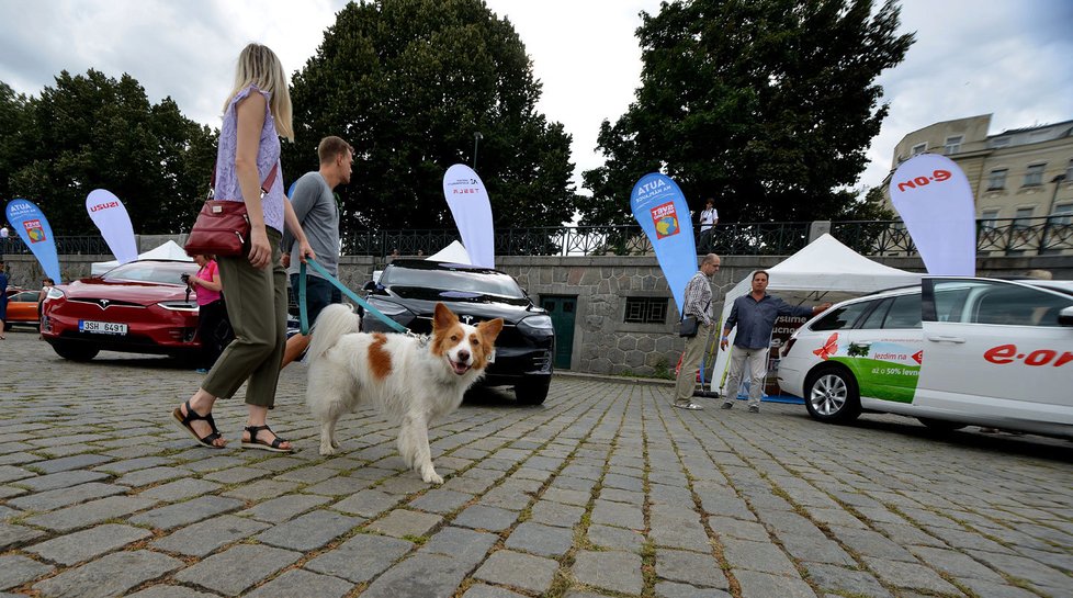 První den výstavy Auta na náplavce objektivem fotografa Martina Straky