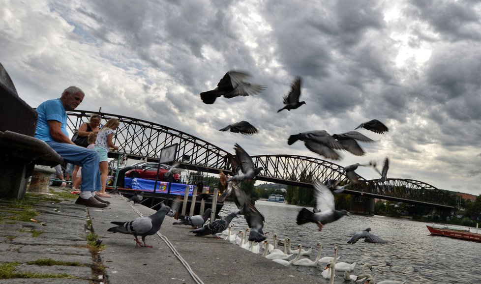 První den výstavy Auta na náplavce objektivem fotografa Martina Straky