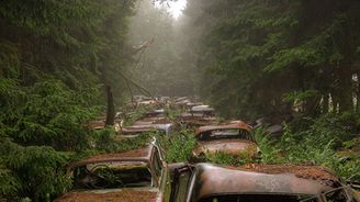 Záhada belgického lesa: Kolona aut, která tu stojí už 70 let