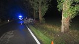 Dva mrtví chodci na Jihlavsku: Řidič nadýchal přes dvě promile!