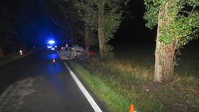 Vážná nehoda u Českých Budějovic. Mladík (19) boural do stromu, auto začalo krátce poté hořet.