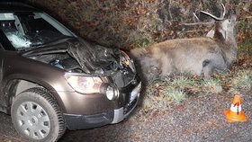 Škoda Yetti se v Beskydech střetla s jelenem