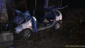 Nezletilý řidič narazil do stromu