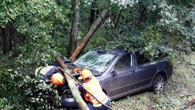 (ilustrační foto) Auto na Jindřichohradecku narazilo do stromu: Spolujezdkyně zemřela, řidička je ve vážném stavu