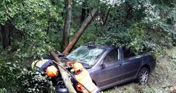 (ilustrační foto) Tragédie na Rychnovsku: Po nárazu do stromu zemřel řidič!
