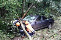 Tragická nehoda na Olomoucku: Řidič zemřel po nárazu do stromu