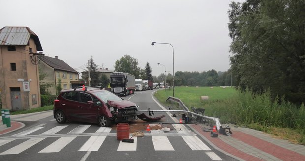Řidič (43) se lekl psa a strhl volant: Trefil semafor a nadělal škodu za 200 tisíc