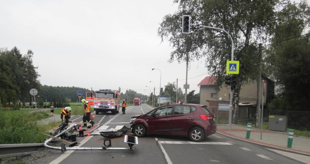 Muž se měl polekat psa a strhnout volant.