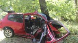 Tři mladí lidé zemřeli na Litoměřicku: Řidička (20) najela do stromu!