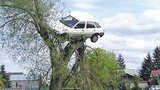 Sousedi mu zaparkovali auto na strom