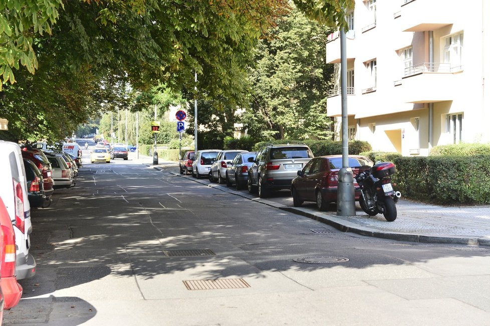 Zde například úplně chybí značka, zaparkovat zde tak může každý i bez oprávnění.