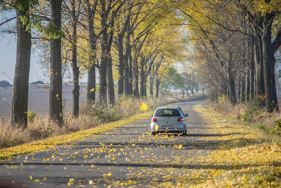 Teplý podzim končí, v příštím týdnu meteorologové přes den čekají kolem devíti stupňů. Po půli listopadu už v noci může mrznout, srážek bude dál málo. (ilustrační foto)