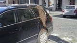 Nejen pyl na autech trápí řidiče: Tuhle káru v Praze obsadily včely