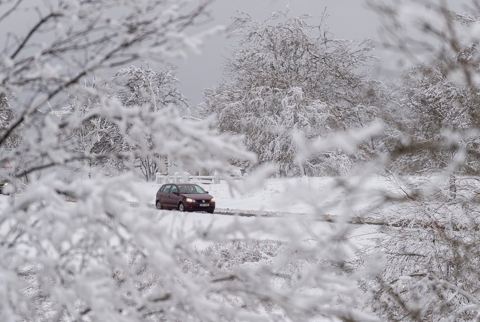 Auto projíždí po zasněžené silnici u Nakléřova na Ústecku (13. 1. 2021).