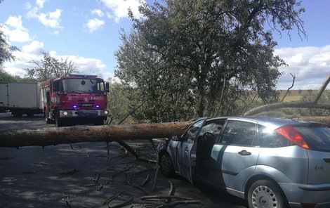 Mohutný strom auto rozmačkal.