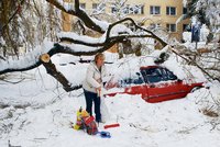 Hodinu odklízel sníh, pak na auto spadl strom