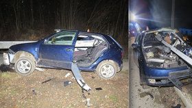 Řidič na Šumpersku nezvládl řízení, svodidla mu projela interiérem auta.