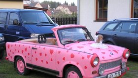 Zamilovaný Trabant - kabriolet poslala paní Lída Tesařová z mChlumu u Třeboně. Je na něm 130 srdíček. Kamarádi ho vyrobili jí a jejímu manželovi ke stříbrné svatbě.