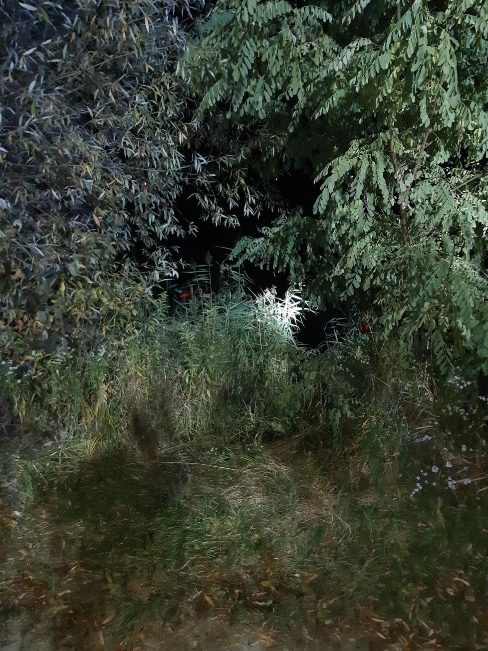V pondělí 25. října krátce po 18. hodině vjela cizinka u Slavkova do rybníka, zřejmě ji zaskočil mikrospánek.