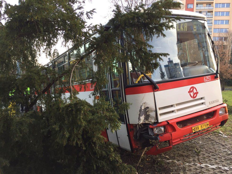 Nehody a úrazy: Tohle všechno může způsobit ledovka.