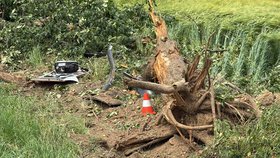 Autobus se u Kluků na Mladoboleslavsku vyhýbal autu a narazil do stromu.