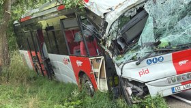 Autobus se u Kluků na Mladoboleslavsku vyhýbal autu a narazil do stromu.