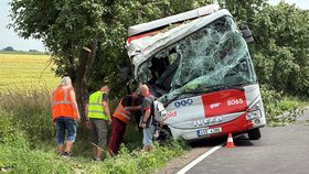 Autobus se u Kluků na Mladoboleslavsku vyhýbal autu a narazil do stromu.