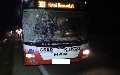 Při nárazu do velkého zvířete přišel autobus o přední sklo.