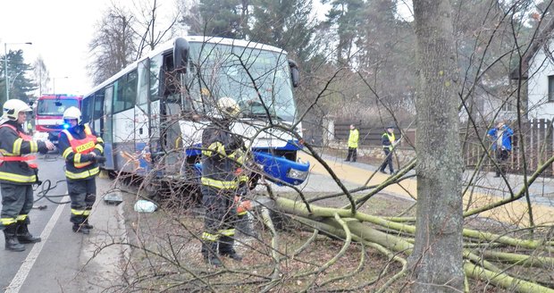 Řidič autobusu dostal infarkt: Narazil do stromu
