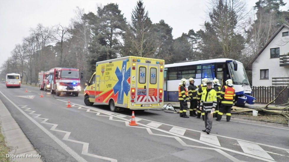 Řidič autobusu dostal za jízdy infarkt a narazil do stromu