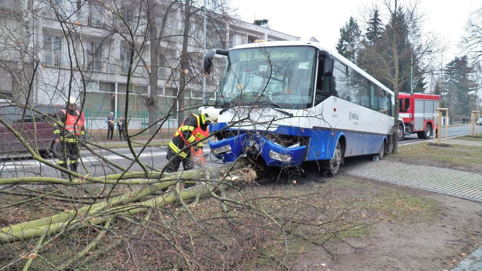 Řidič autobusu dostal za jízdy infarkt a narazil do stromu