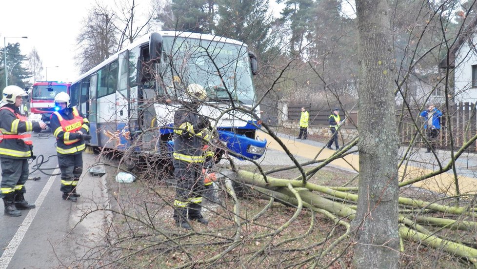 Řidič autobusu dostal za jízdy infarkt a narazil do stromu