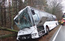 Autobus vletěl do stromu