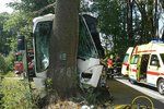 Na Olomoucku narazil autobus přímo do stromu.