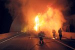 Policisté muži z Liberecka zabavili marihuanu: On jim na oplátku zapálil dveře garáže (ilustrační foto)