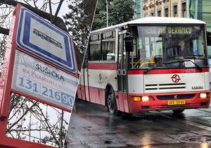 Budou v Praze všechny autobusové zastávky na znamení? Podle náměstka primátora Adama Scheinherra by se tak mohlo stát již v průběhu letošního léta. (ilustrační foto)