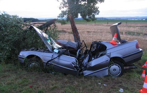 Strom i auto jsou vejpůl...