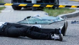 Další smrtelná nehoda na Bruntálsku: Jeden mrtvý (†24), jeden těžce zraněný (25)