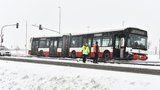 Kalamita na silnicích. Kvůli rannímu sněhu kolabuje pražská příměstská doprava